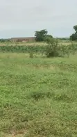 Registered Lands for Sale in Sege - 1