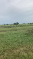 Registered Lands for Sale in Sege - 2