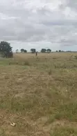 Titled Lands for Sale in Sege - 2
