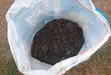 Organic Poultry Manure - 1