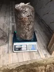 Organic Poultry Manure - 3