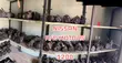 Air Condition Motor for Toyota, Honda, Ford, Nissan, Peugeot - 2