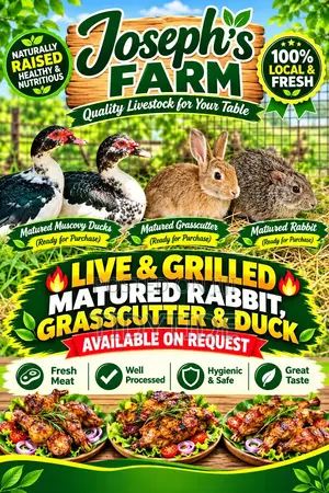 Joseph's Farm: Livestock & Meat Supply