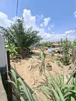 Half Plot for Sale at Dome Pillar 2 - 1
