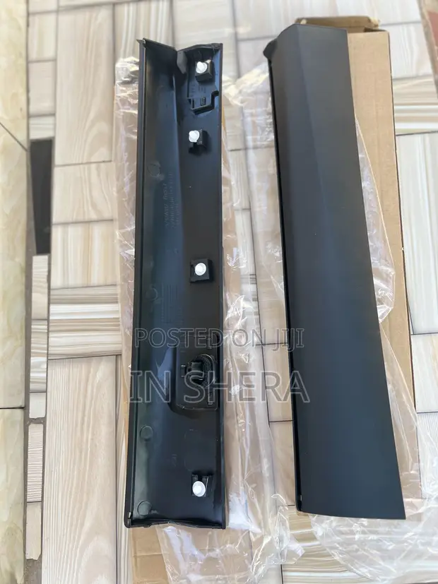Mitsubishi Outlander Door Moulding (2023-2025) - 1