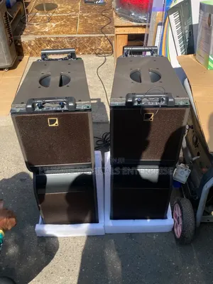 KARA 10" Line Array Speakers (Pair)