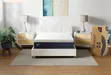 Sealy Orthopedic Mattress - 12" Queen Size - 1