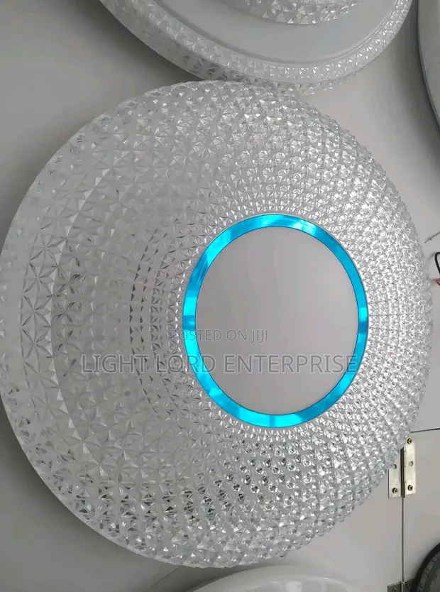BBHX Skunk 3-Color LED Ceiling Light - 1