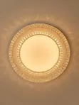 ZMDX Double Layer LED 2-Color Ceiling Light - 2