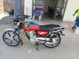 Royal RY125 Motorcycle 2025 Red - 2