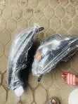 Nissan Sentra Headlights 2017-2018 - 3