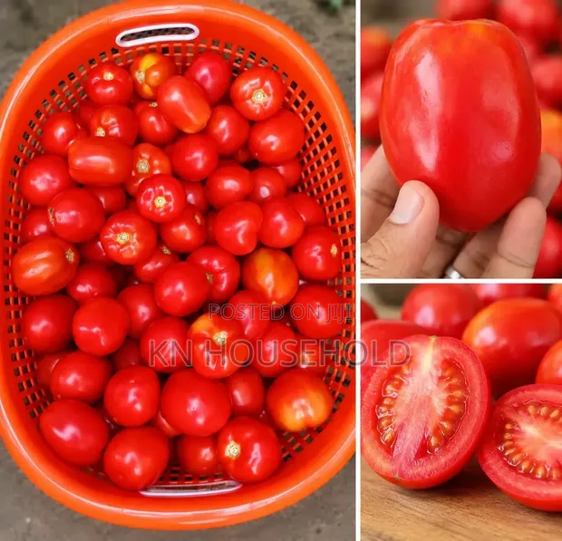 Fresh Quality Tomatoes - GHS 38/KG - 1