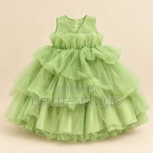 Baby Girl's Green Mesh Dress (2-3 Years)