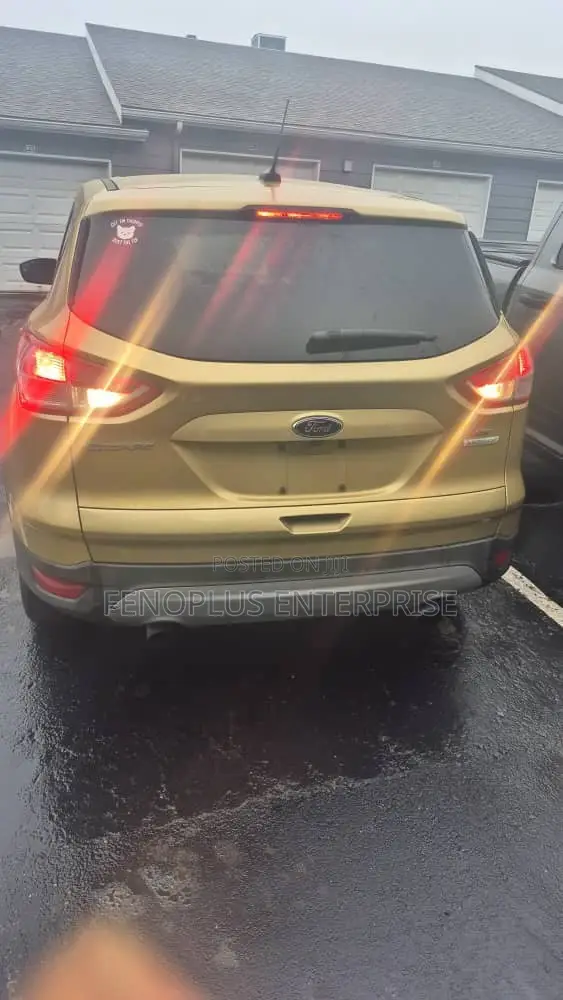 Ford Escape 2014 Gold - 1