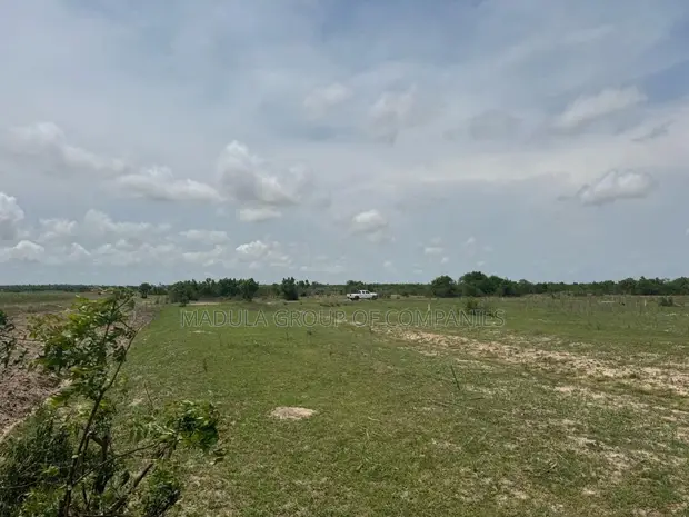 Genuine Mixed-use Land for Sale in Sege - Madula - 1