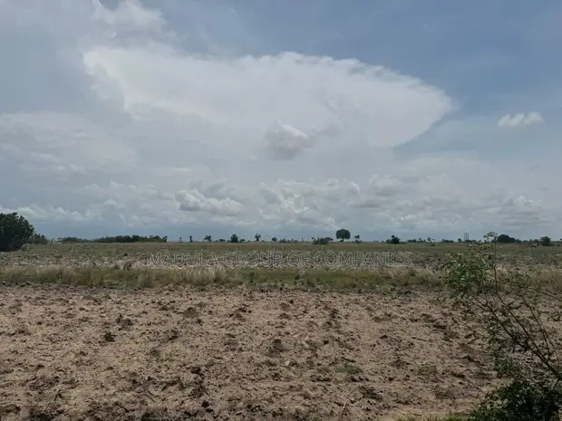 Affordable Land for Sale in Sege - 1