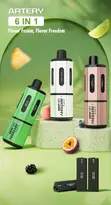 Artery 6 in 1 Rechargeable Vape Pod Kit - 2