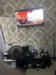 Furnished Studio Apartment for Rent in Round About - 1