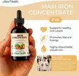 Maxi Health Iron Concentrate, Natural Berry, 60ml - 2