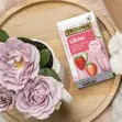Twinings Glow Green Tea with Strawberry, Cucumber & Aloe Vera (75 Bags) - 2