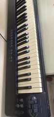 M-Audio Pro Keys 88SX Digital Piano - 2