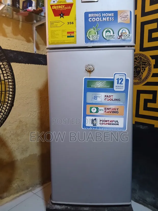 Nasco Portable Freezer - 1