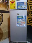 Nasco Portable Freezer - 1