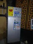 Nasco Portable Freezer - 4