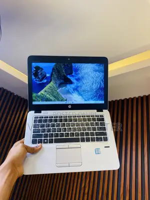 HP EliteBook 820 G3 Laptop - Core i5, 8GB RAM, 256GB SSD