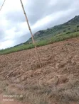 Land for Sale at Nsawam - 2