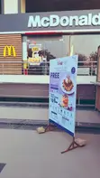 Custom Sign Boards - Jovita Print and Business Centre - 1