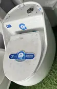 Luxury Water Closet - Brand New - 1