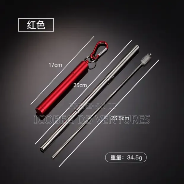 Telescopic Stainless Steel Straw with Case - 1