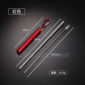 Telescopic Stainless Steel Straw with Case
