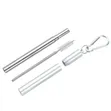 Telescopic Stainless Steel Straw with Case - 3