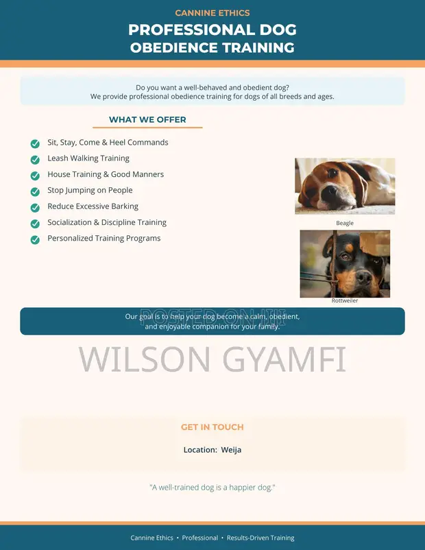 Professional Dog Obedience Training Services - 1