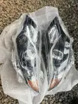 Toyota Camry Spider Headlight (2012-2014) - 1