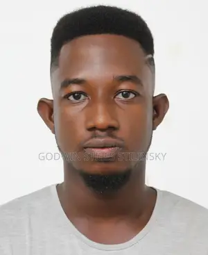 Manufacturing CV - Godwin Stiles