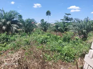 8 Plots of Land for Sale in Assin Foso Township