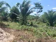 8 Plots of Land for Sale in Assin Foso Township - 2