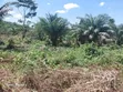 8 Plots of Land for Sale in Assin Foso Township - 3