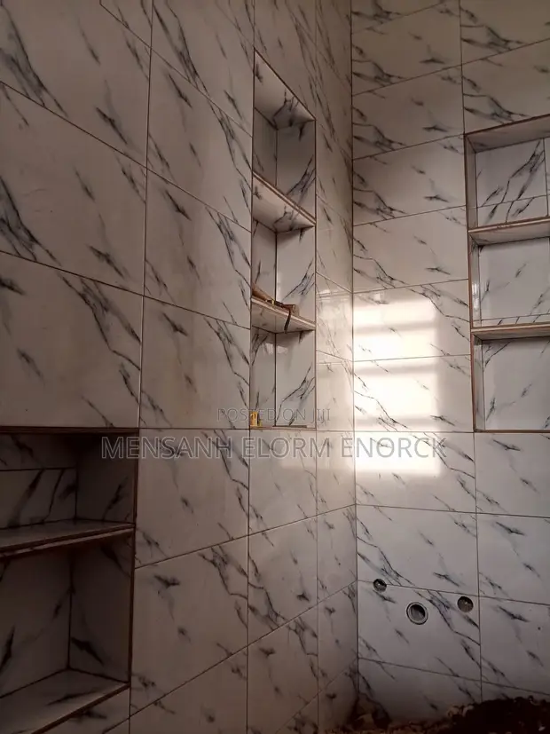 Professional Tiling Services - 1