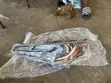 Toyota Corolla Headlight Sport (2020-2024) - 2