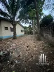 Titled Half Acre Land for Sale in Dzorwulu - 3
