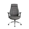 Eldo Leather Injected Foam 3D Armrest Chair - 2