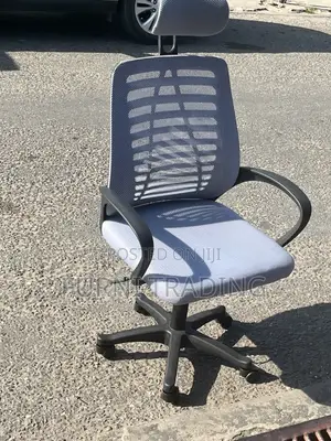Skyline Furniture Office Swivel Chair