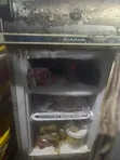 Used NOVA Refrigerator - 3