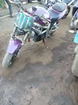 Suzuki SFV650 1998 Purple - 3
