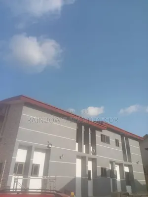 Grafitex Paint - Rough & Smooth Finishes