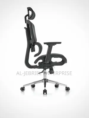Eldo Office Chair with 3D Adjustable Armrests